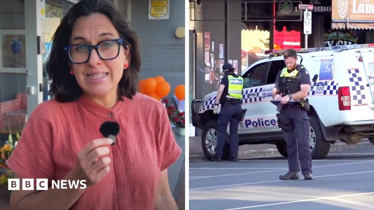 Australian MP Helen Haines in Critical Condition After Being Hit by Car